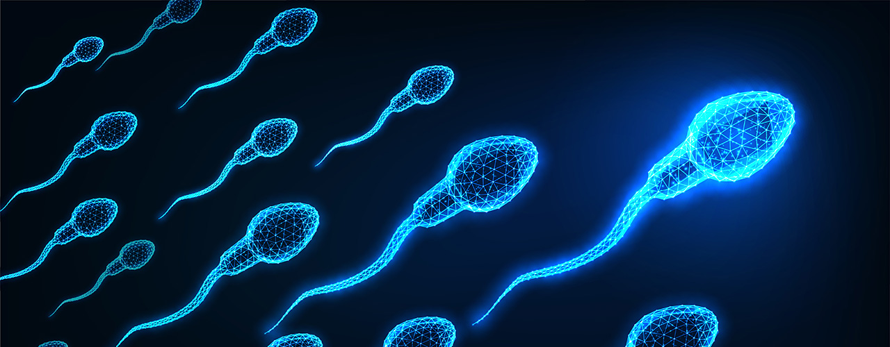 Sperm Azlığı Tedavisi